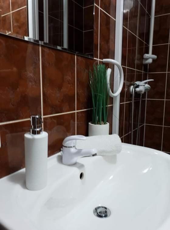 Apartament Dominik ザコパネ エクステリア 写真