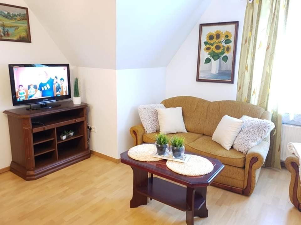 Apartament Dominik ザコパネ エクステリア 写真