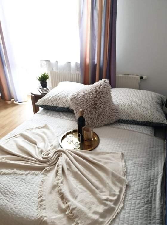 Apartament Dominik ザコパネ エクステリア 写真