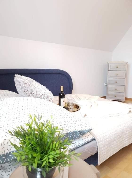 Apartament Dominik ザコパネ エクステリア 写真