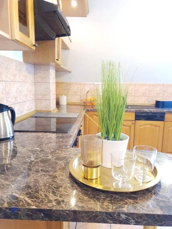 Apartament Dominik ザコパネ エクステリア 写真