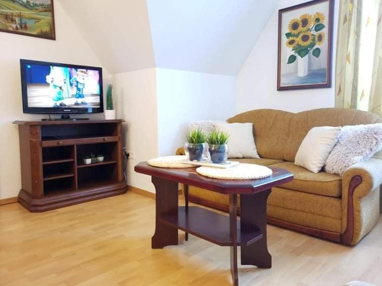 Apartament Dominik ザコパネ エクステリア 写真