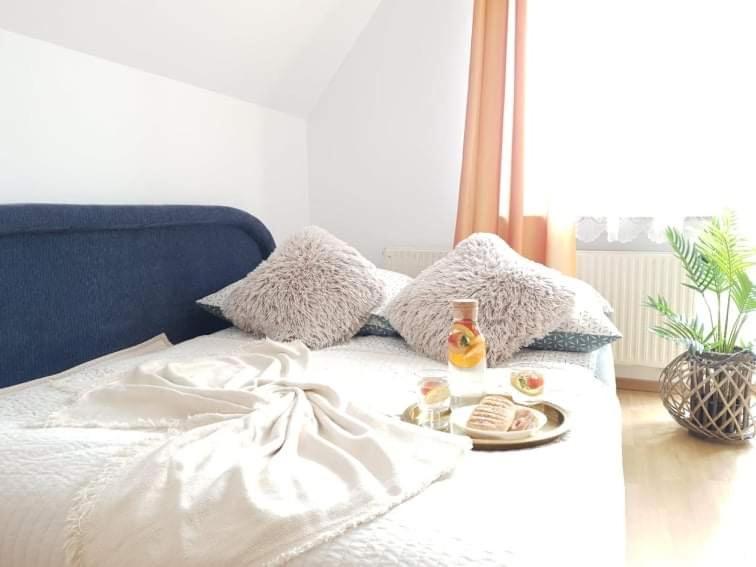 Apartament Dominik ザコパネ エクステリア 写真
