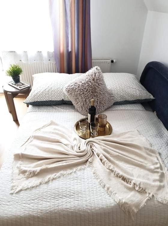 Apartament Dominik ザコパネ エクステリア 写真